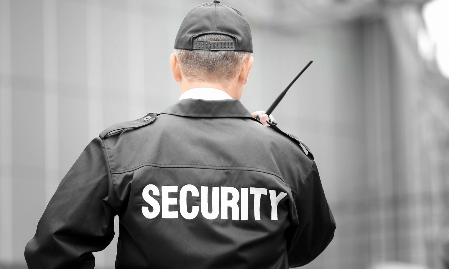 Highly Trained Experts